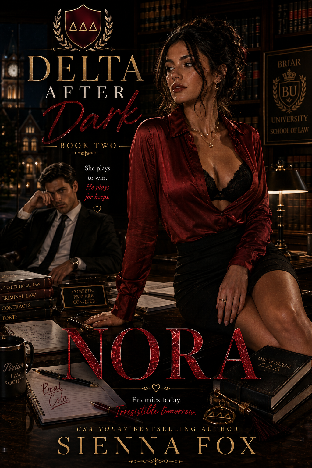 Nora, Delta After Dark Book 2 by Sienna Fox